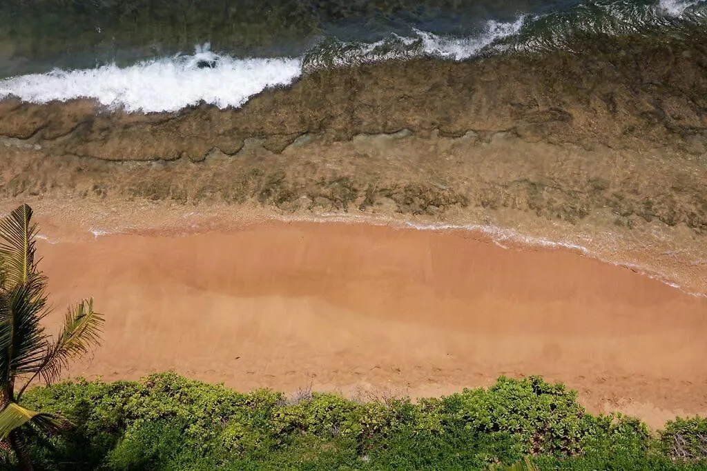 Best Ocean Views On Maui! Perfect For Honeymooners!! Kahana
