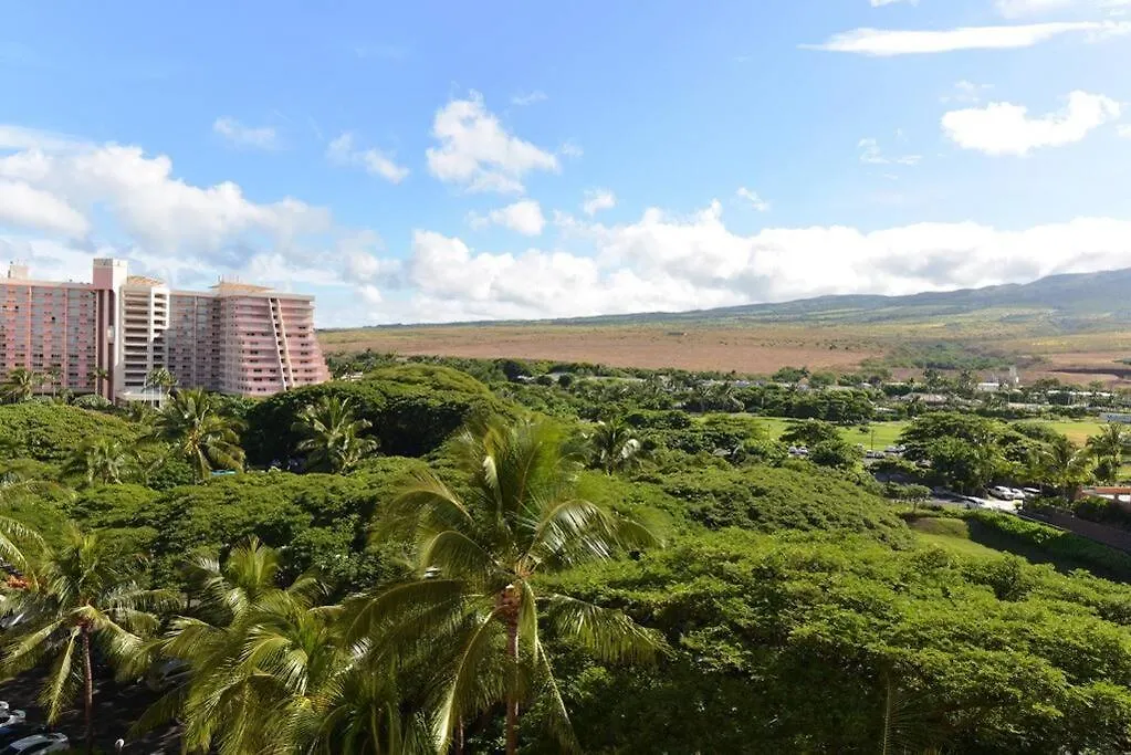 Best Ocean Views On Maui! Perfect For Honeymooners!! Kahana 0*,  United States